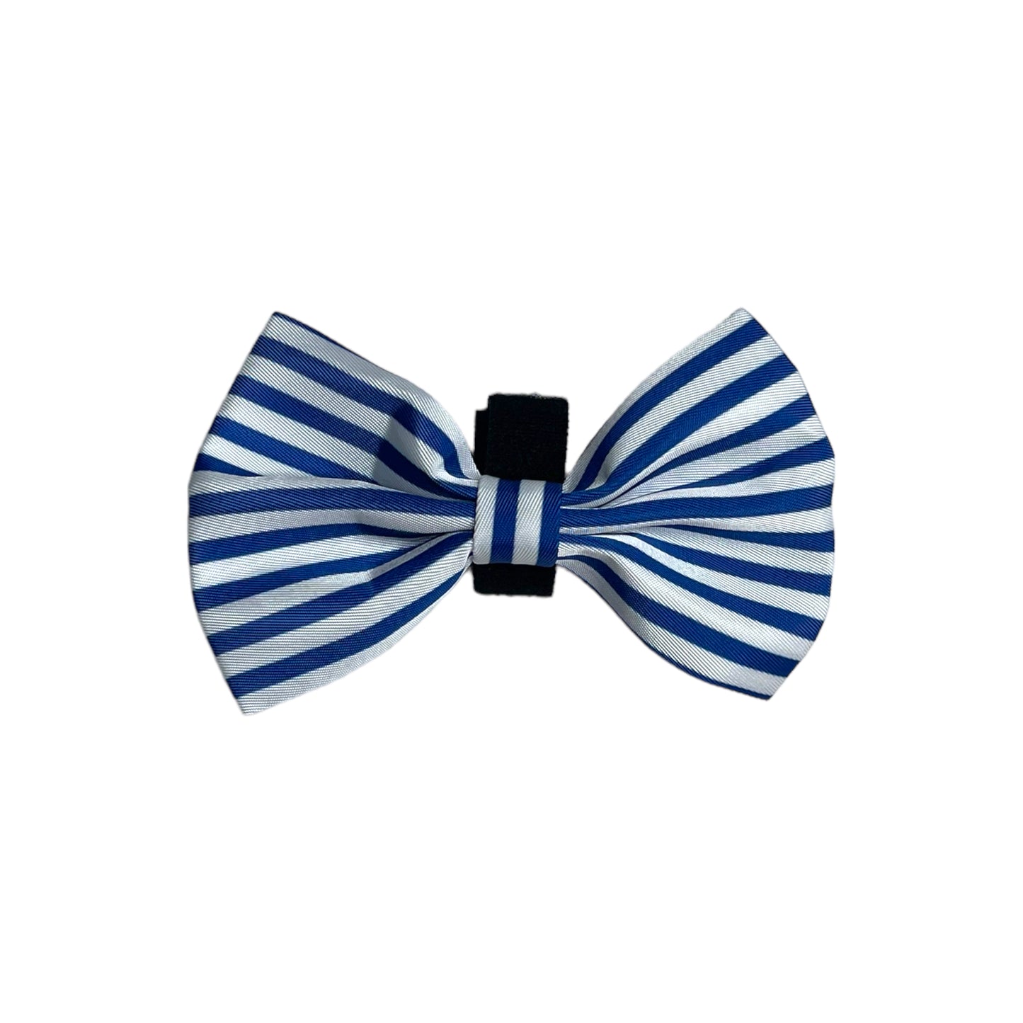 Bow Tie - Ship Tease