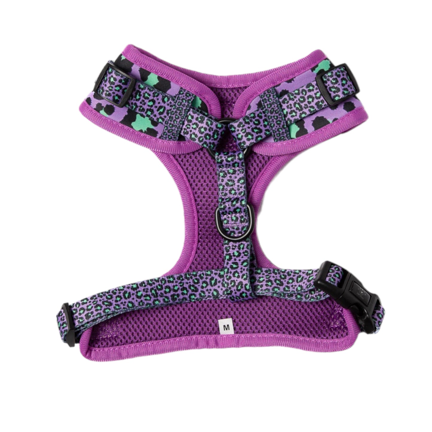 Harness - Wild and free