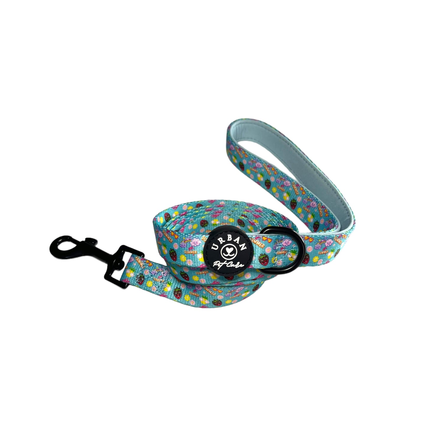 Leash - When I met you in Summer