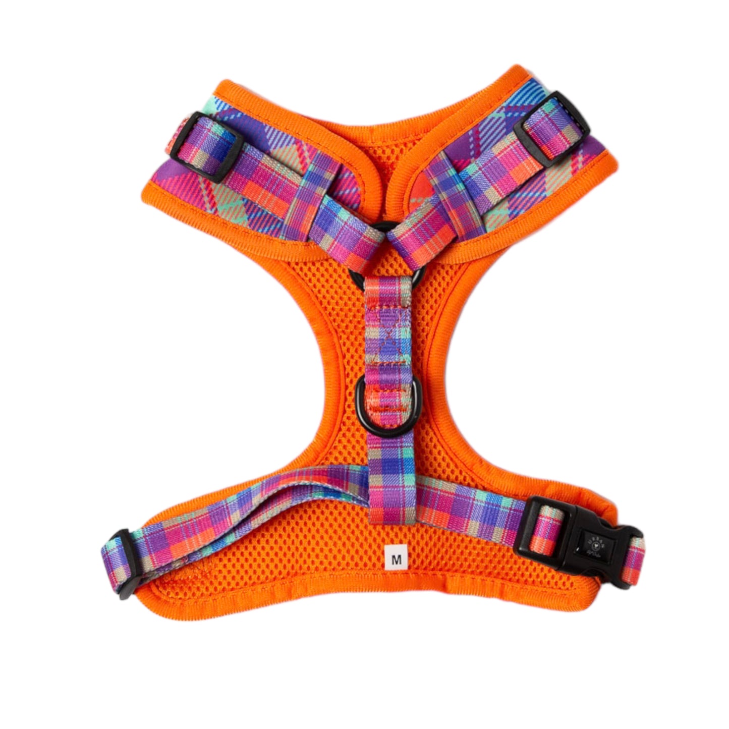 Harness - You've been plaid