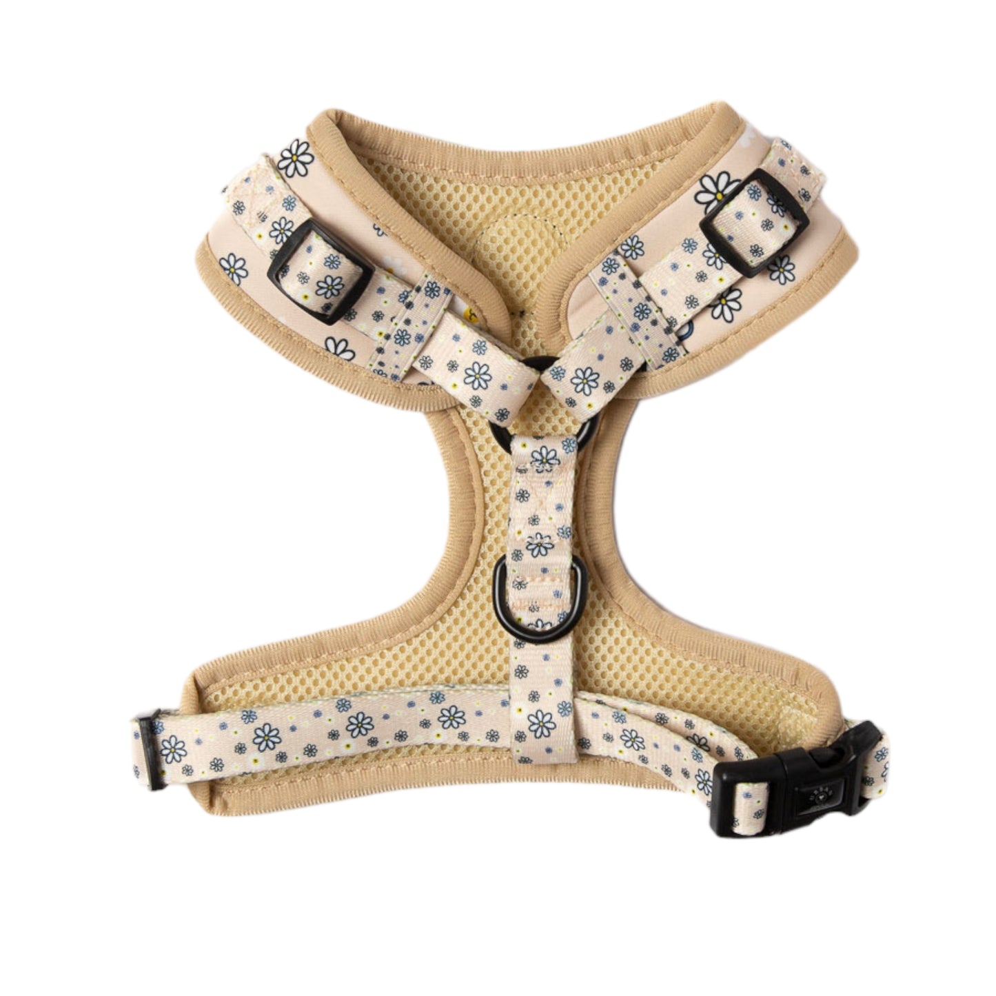 Harness - Urban wildflower