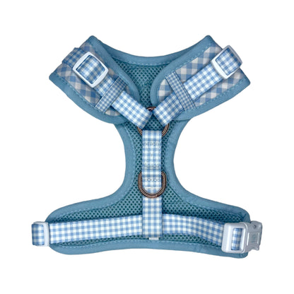 Harness - Blue Breeze Gingham “NEW”