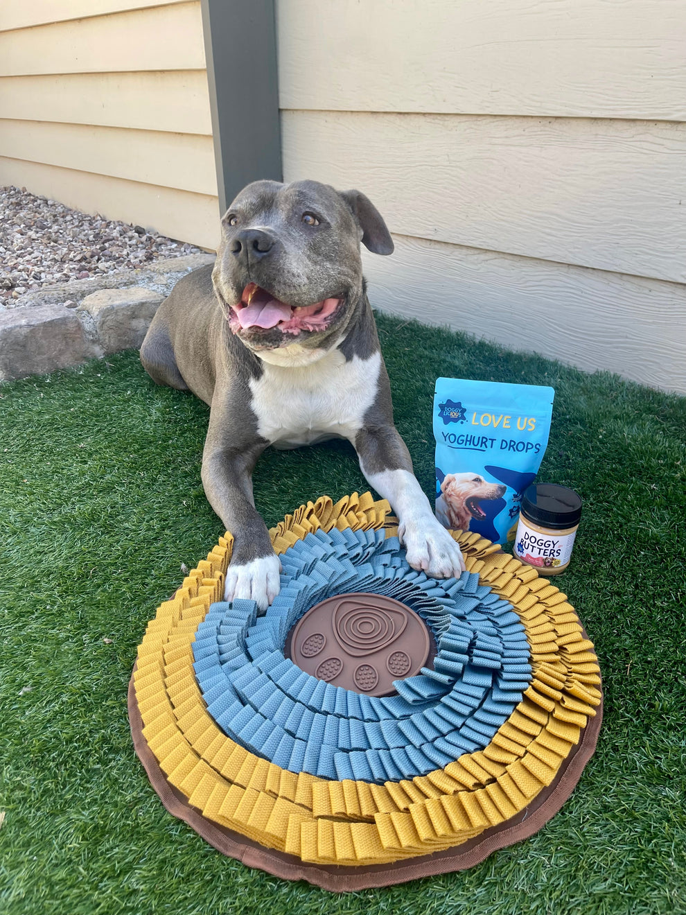 Heavy Duty Snuffle Mat – Urban Pet Care Store