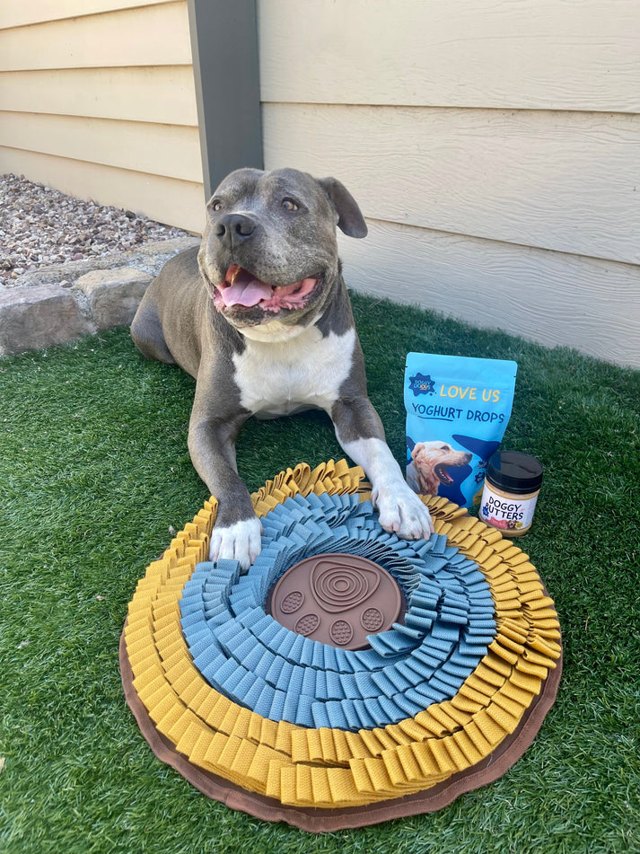 Heavy Duty Snuffle Mat – Urban Pet Care Store
