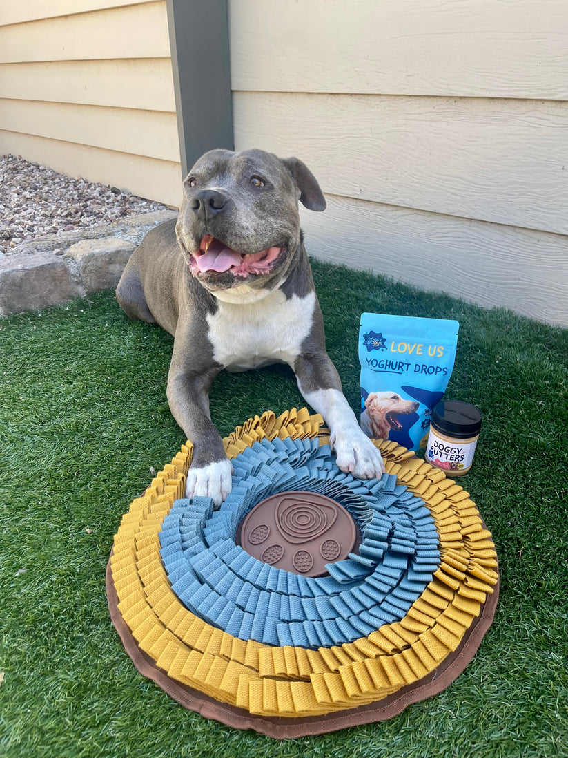 Heavy Duty Snuffle Mat – Urban Pet Care Store