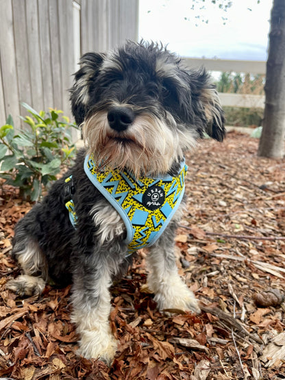 Harness - Time for zoomies