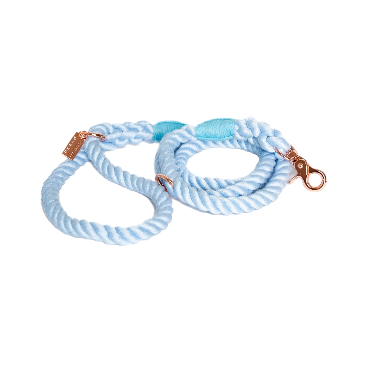 Rope Leash - Blue