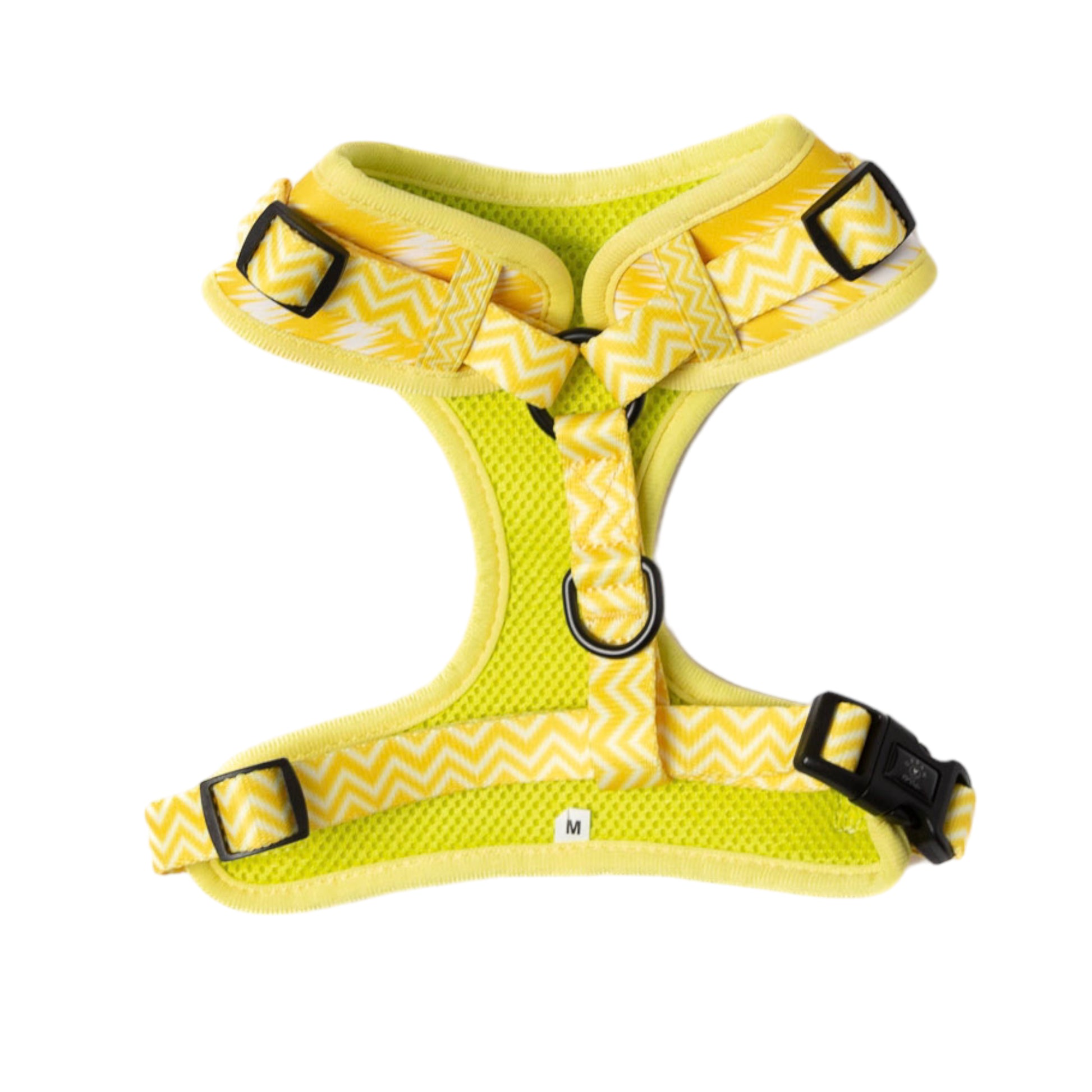 Harness - Ray of sunshine – Urban Pet Care Store